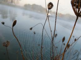 At the edge of the river